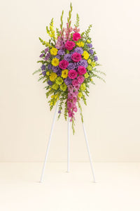 Rainbow Grace Spray