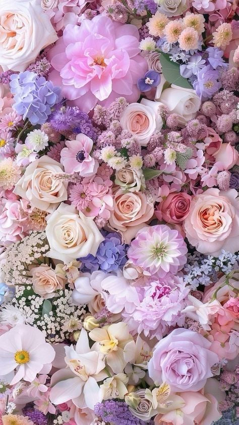 Love & Romance