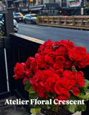 Begonia--Red
