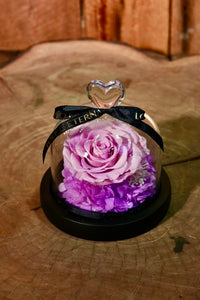 Preserved Purple Rose