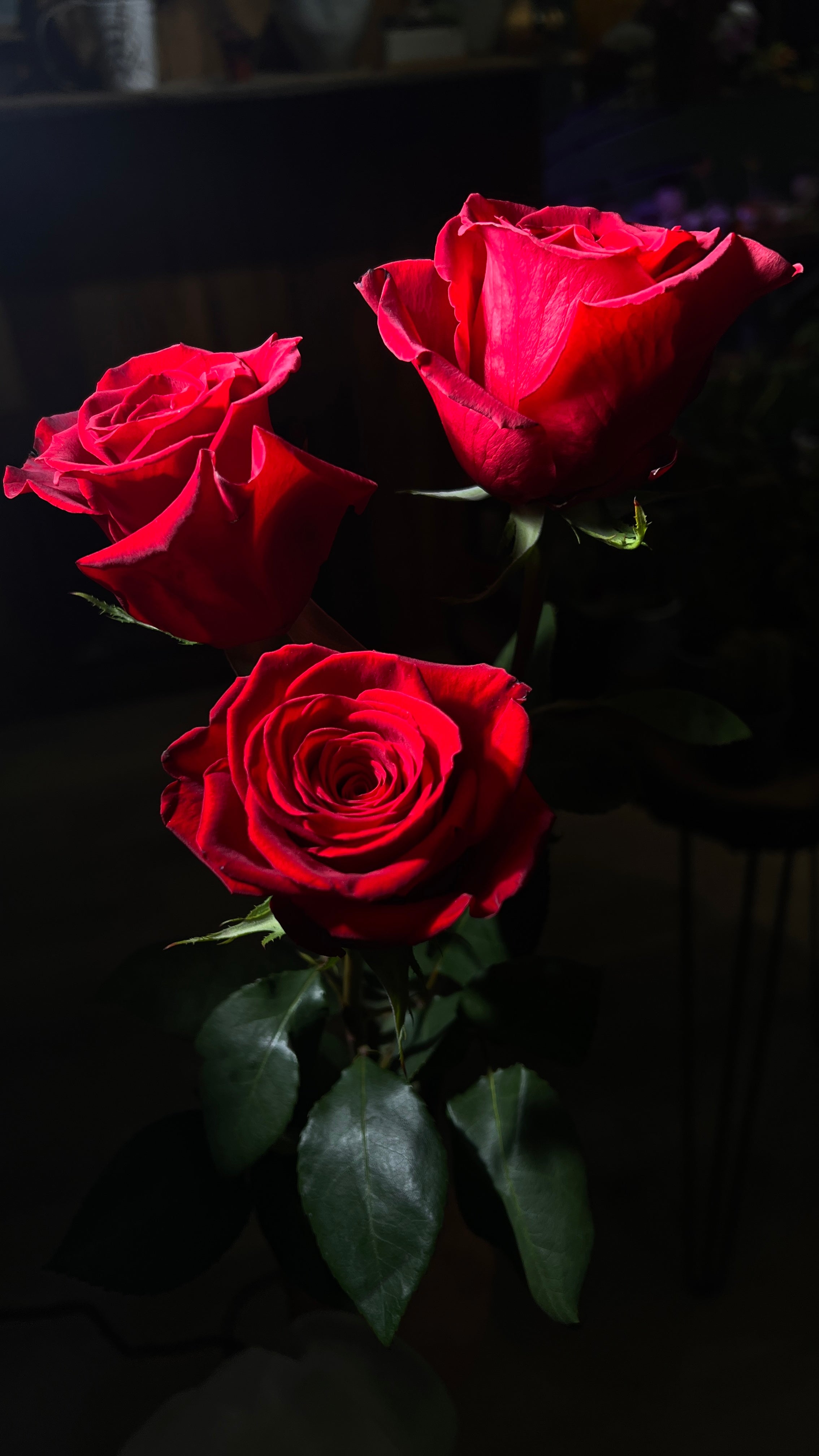 12 Freedom Red Roses bouquet