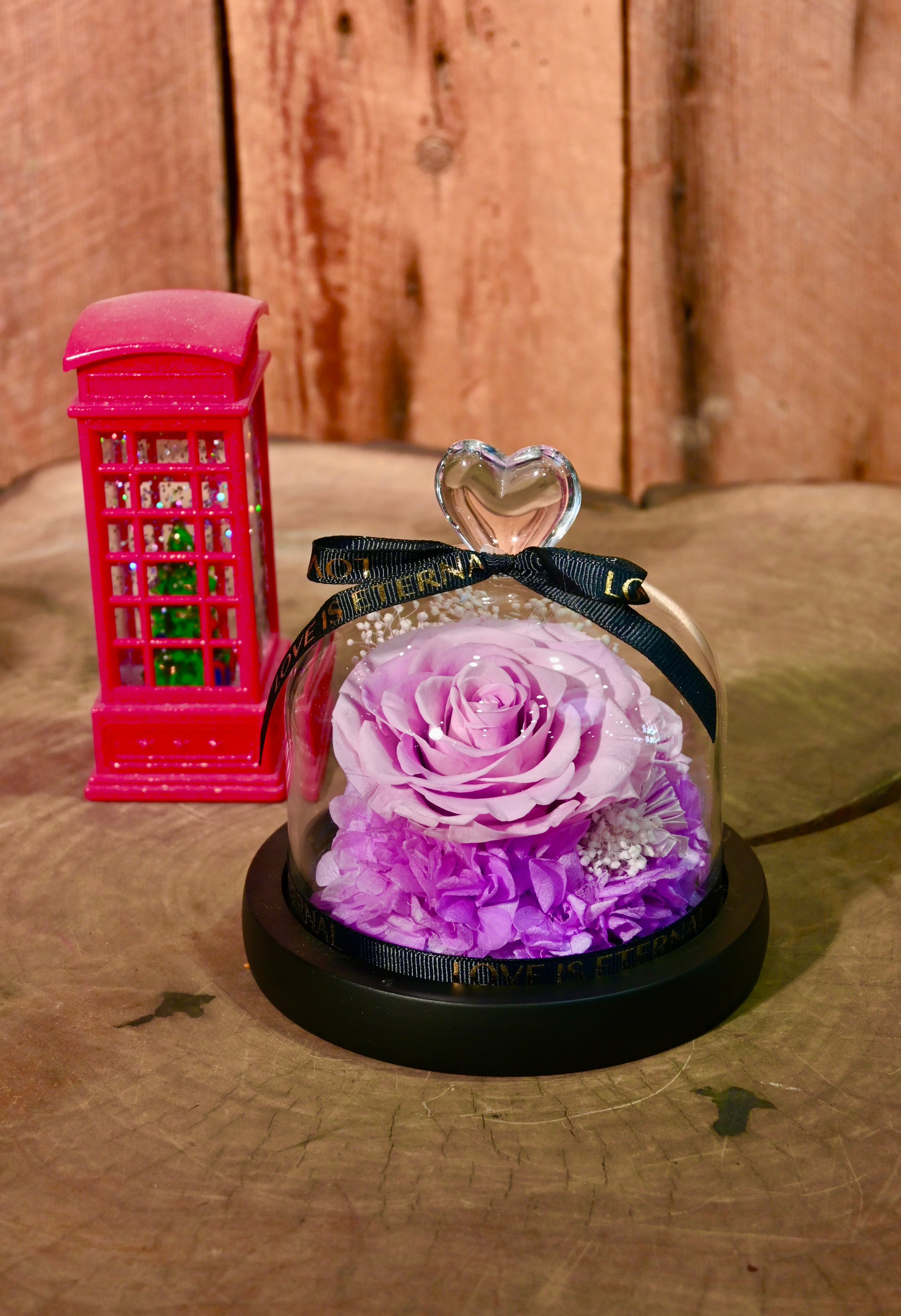 Preserved Purple Rose