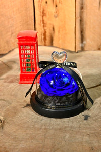 Preserved Blue Rose
