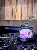 Preserved Purple Rose