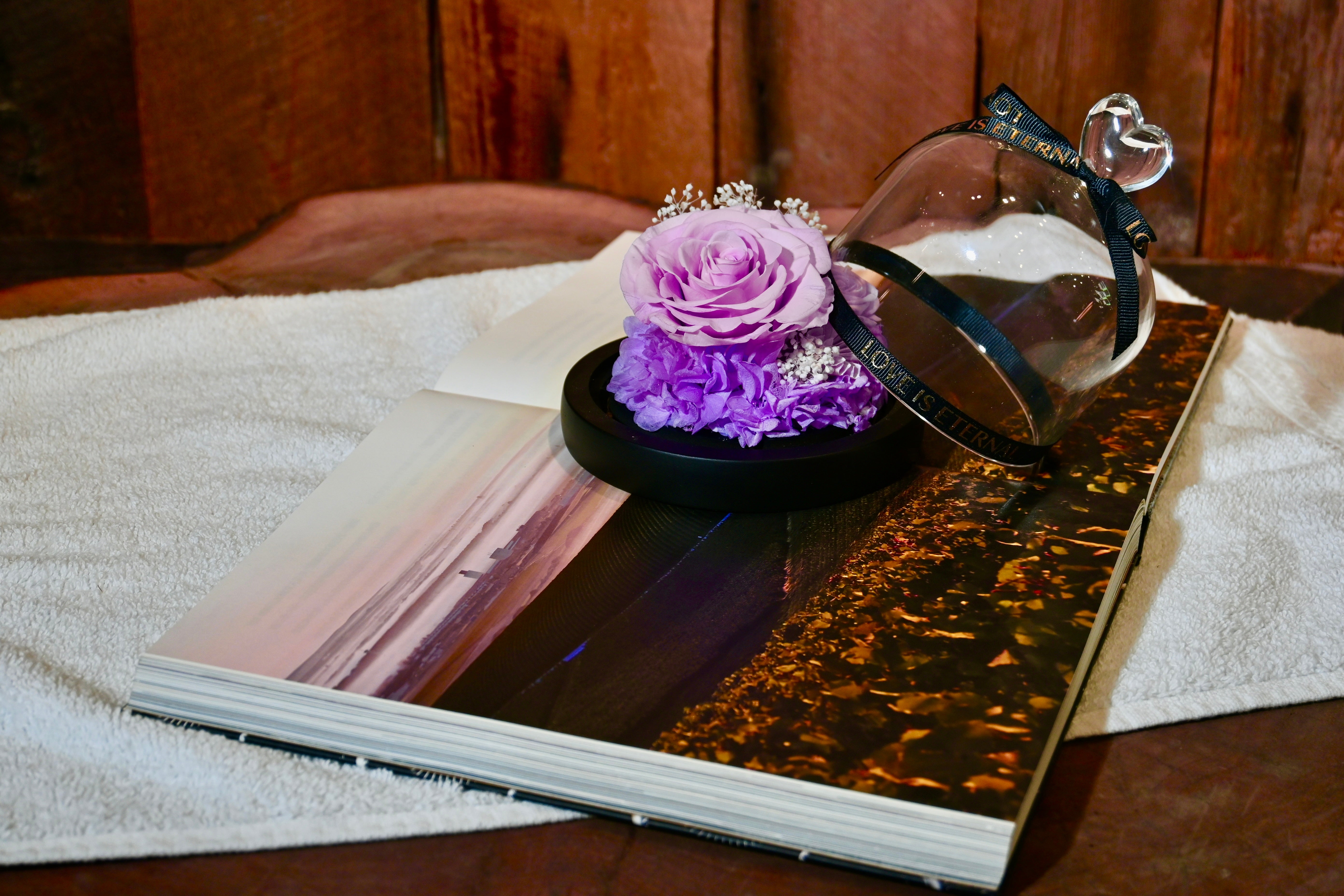 Preserved Purple Rose