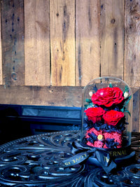 Preserved Red rose --Large