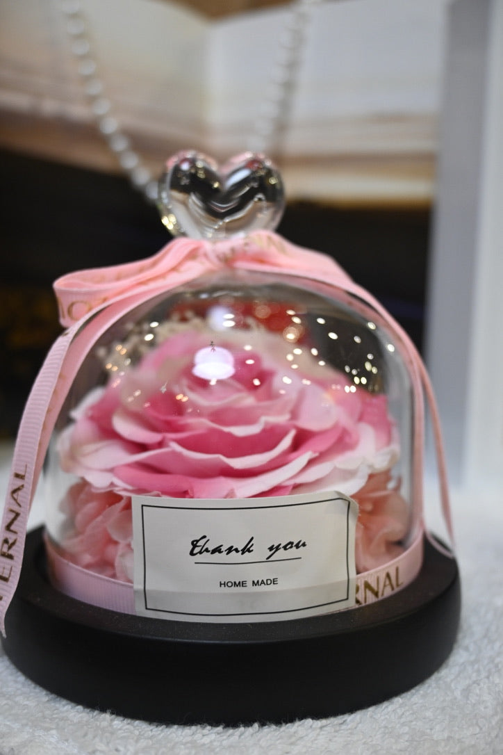 preserved Pink Rose