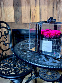 Preserved Hot Pink Bouquet