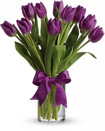Radiantly Purple Tulips