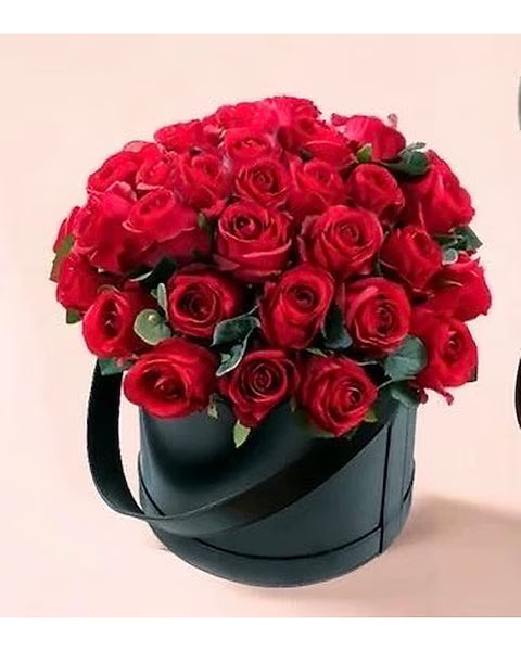 Midnight Rose Ensemble